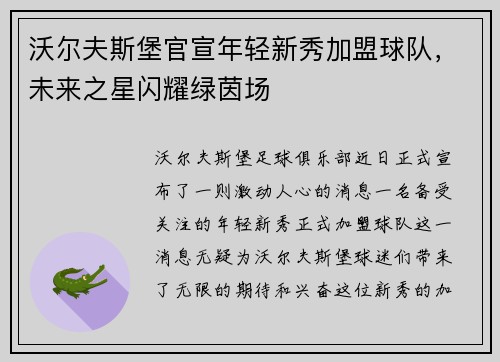 沃尔夫斯堡官宣年轻新秀加盟球队,未来之星闪耀绿茵场