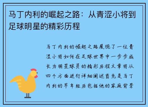 马丁内利的崛起之路:从青涩小将到足球明星的精彩历程