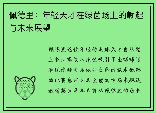 佩德里:年轻天才在绿茵场上的崛起与未来展望