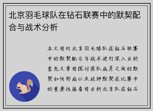 北京羽毛球队在钻石联赛中的默契配合与战术分析