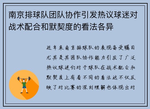 南京排球队团队协作引发热议球迷对战术配合和默契度的看法各异